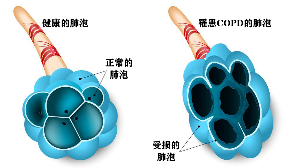 微信图片_20221112151841.png