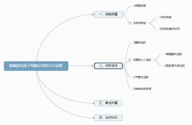 同样是注射干细胞，为何效果存在差异化？