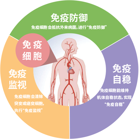 微信图片_20221212093556.png