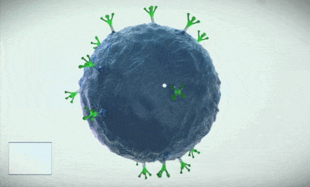 src=http___p3.itc.cn_q_70_images03_20201020_17c1dadf16584d13a1a669612c2a78cb.gif&refer=http___p3.itc.gif