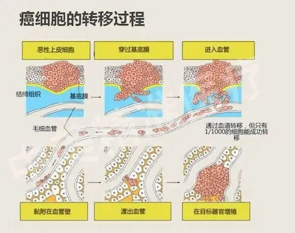 微信图片_20230222161049.jpg