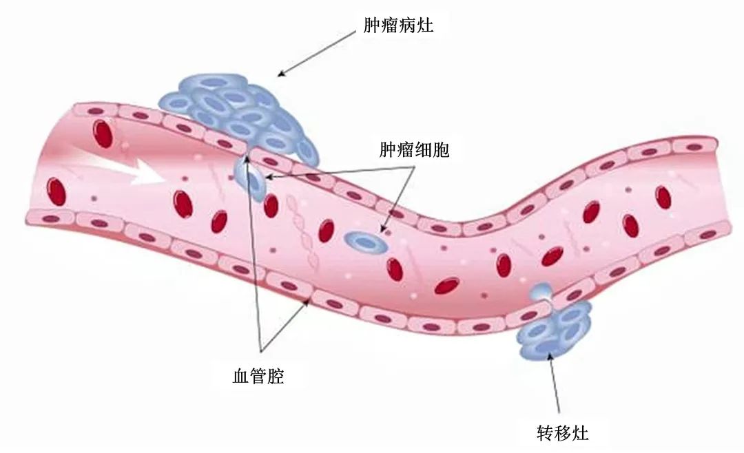 微信图片_20230222161233.jpg
