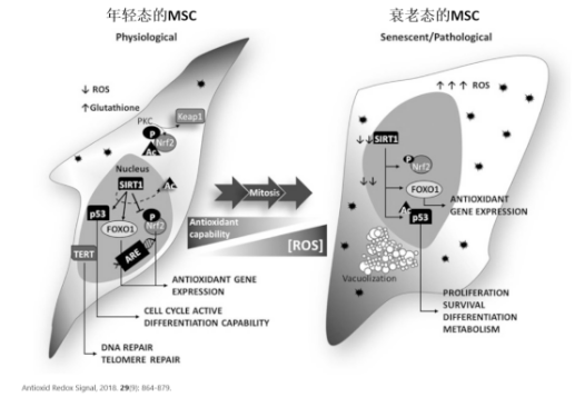 微信图片_20230228155053.png
