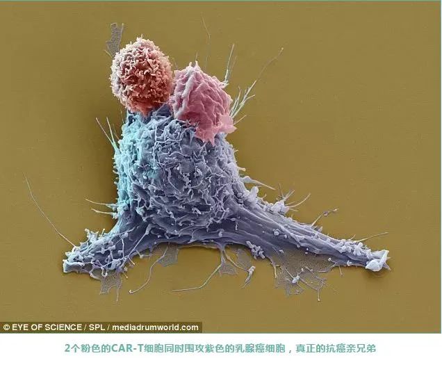 微信图片_20230615104132.jpg