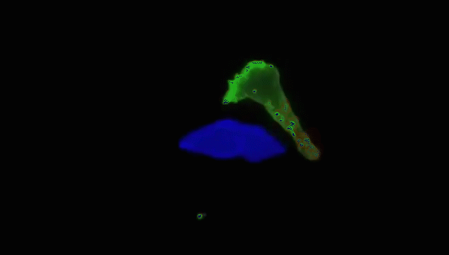 微信图片_20230615104202.gif