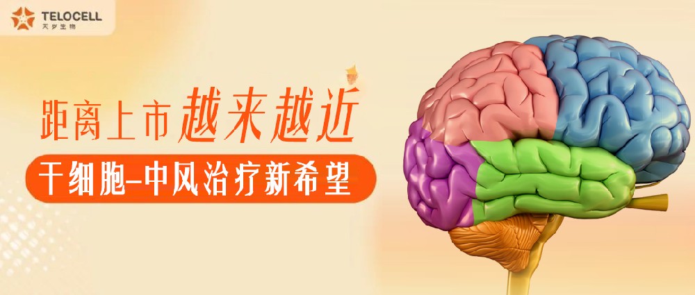 距离上市越来越近！中国有望迎来间充质干细胞治疗中风的时代！