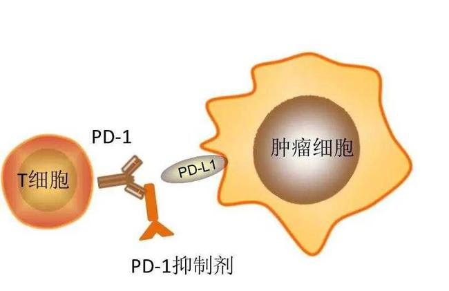 微信图片_20231007135332.png
