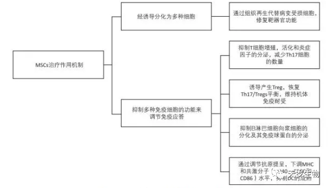 ecdfdd2a83c6928c38765293f780fe56.png