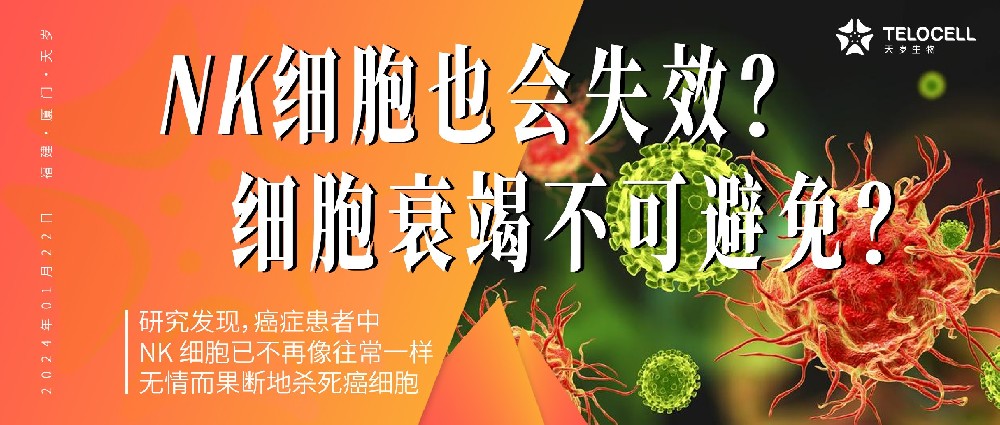 癌症患者的NK细胞为何“失效”？普通人为何也会有NK细胞“失灵”时刻？