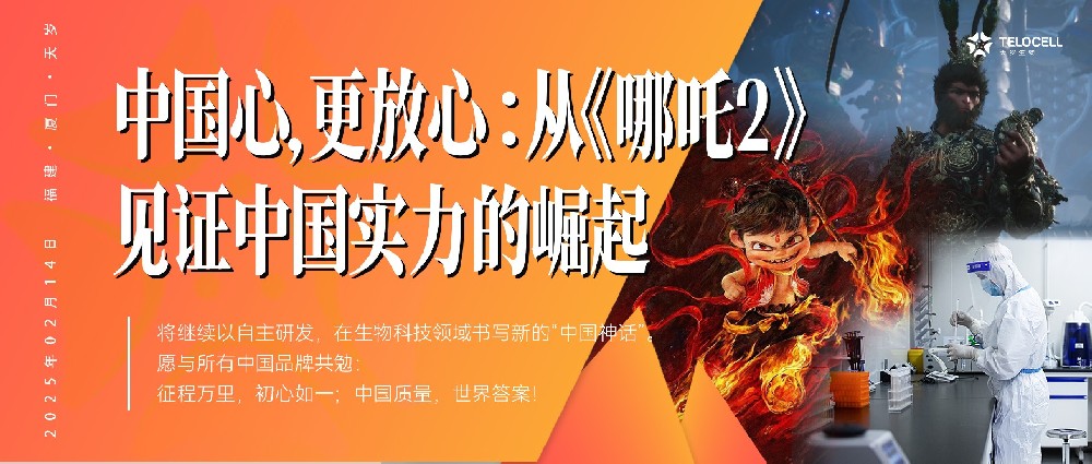 中国心，更放心：从《哪吒2》见证中国实力的崛起