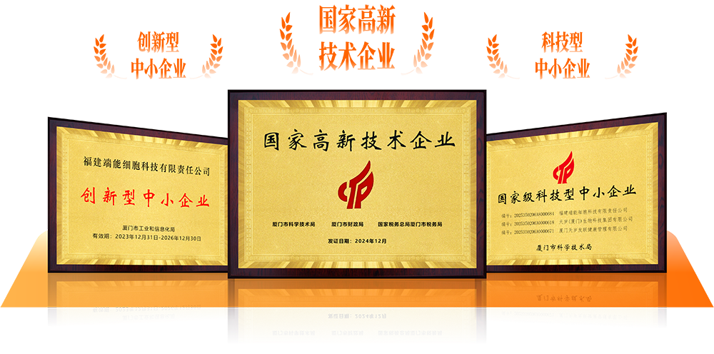 1778980630125717.png rerregeg.png